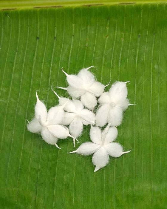 Pacha Mukhi Pathri Vouthulu (5 Pcs)