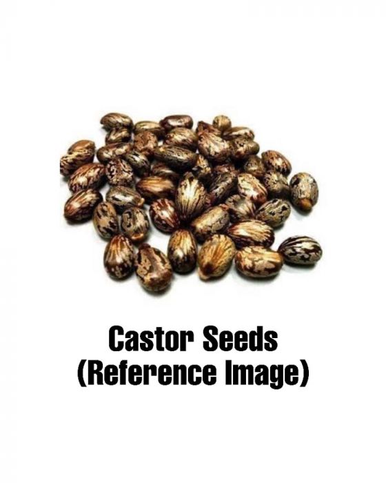Castor Oil (200 ml)
