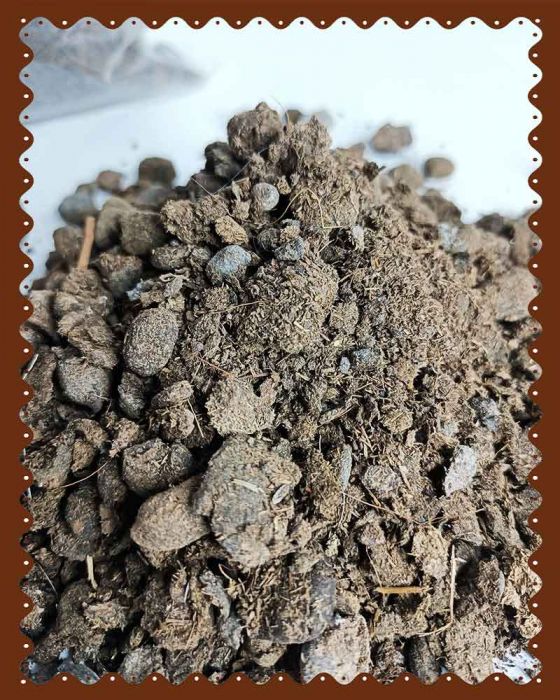 Goat-Dung-Manure--3
