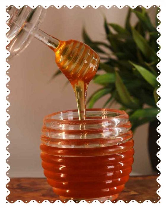Moringa Honey (Natural) (500 Grams)