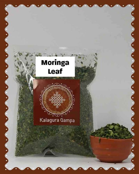 Moringa-Leaf--1