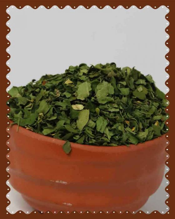 Moringa-Leaf--2