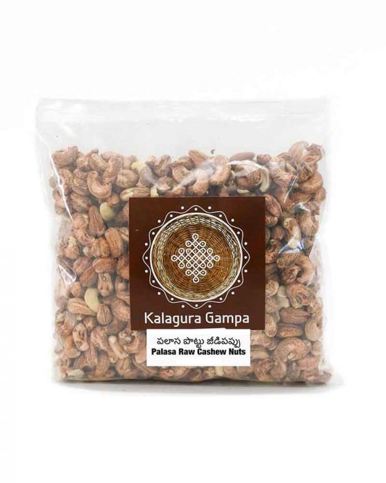 Palasa Raw Cashew Nuts (500 Grams)