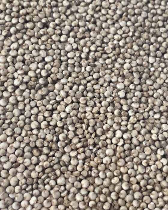 Quinoa (Natural) (క్వినోవా) (2000 Grams)