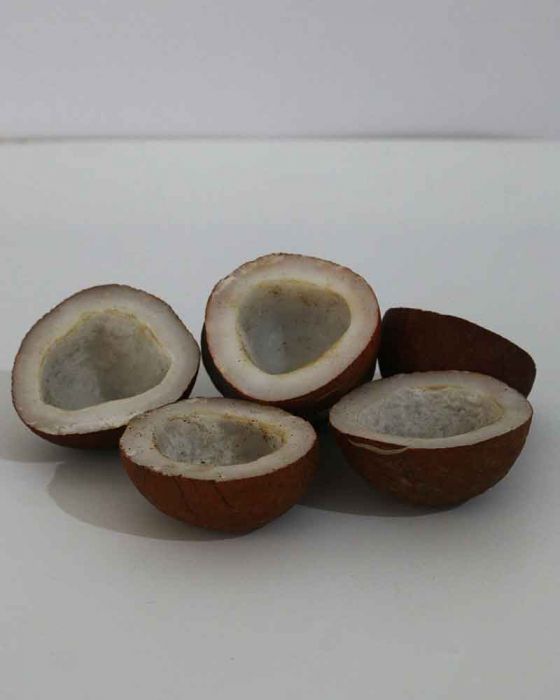 RED-KOPRA-3