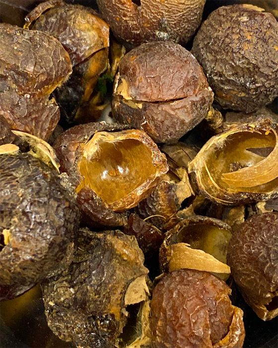 Seedless Soapnuts/Kunkudukayalu (కుంకుడుకాయలు) (250 Grams)