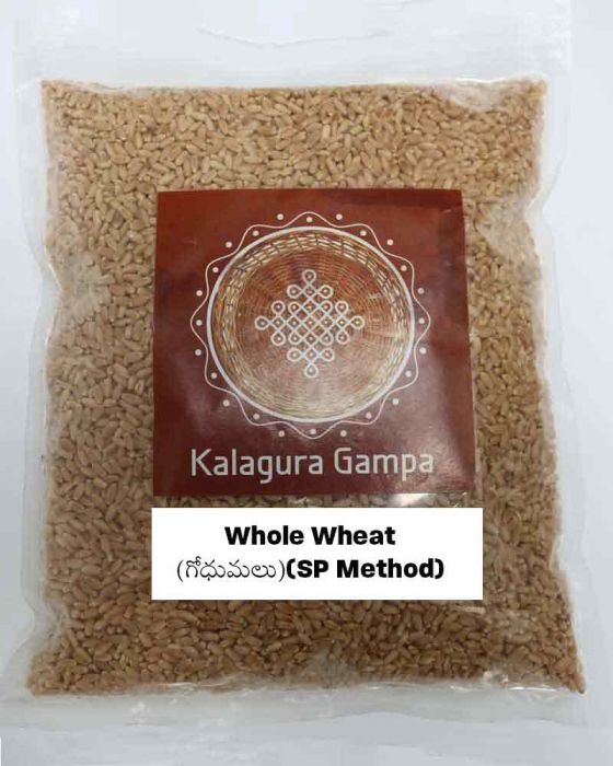 Whole Wheat (SP Method) (గోధుమలు) (1000 Grams)