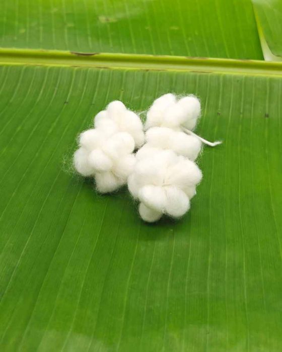Asta Laxmi Vothulu (5 Pcs)