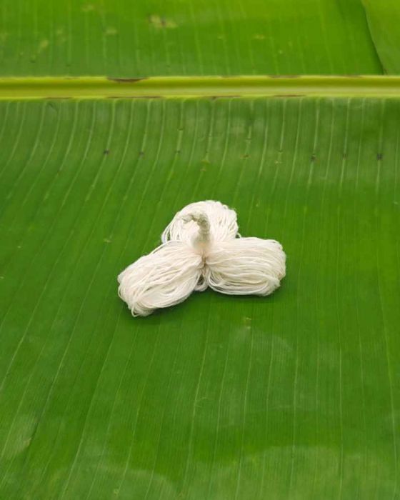 Bilva Pathri Vothulu (1 Pcs)