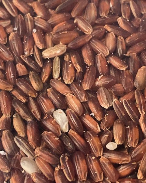Kullakar Rice (Low Glycemic Index-Diabetic Friendly) (1 KG)