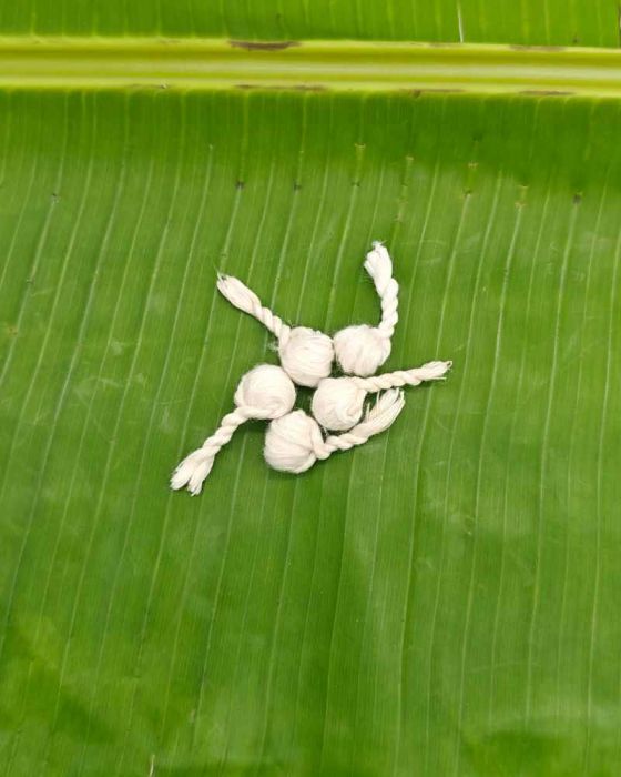 Rudra Vothulu (5 Pcs)