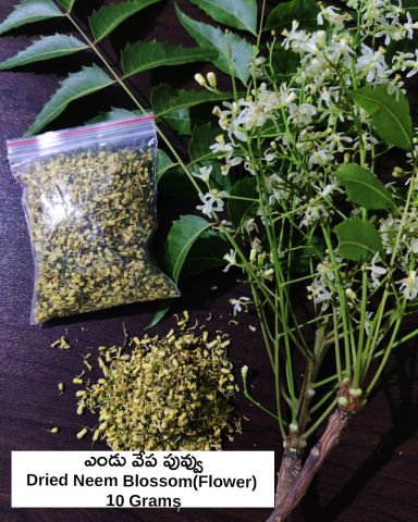 Neem-Flower