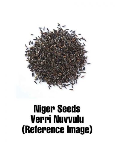 Niger Seed Oil|Rich in Omega Fatty Acids| 500 ml|