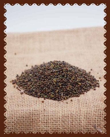 Indigo Seeds (10gm)