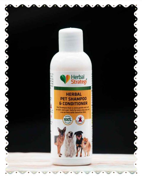 Herbal dog clearance shampoo